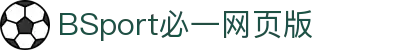 必一(运动科技有限公司)官方网站-B·Sport